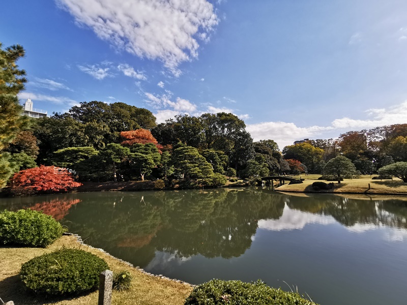 六義園｜超美東京名園!東京賞楓銀杏櫻花季節必訪!