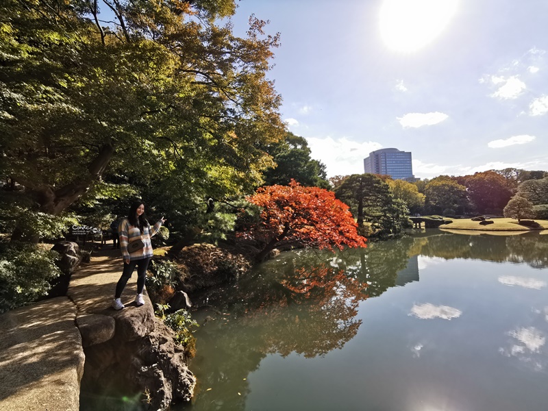 六義園｜超美東京名園!東京賞楓銀杏櫻花季節必訪!