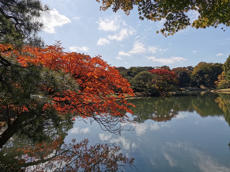 六義園｜超美東京名園!東京賞楓銀杏櫻花季節必訪!