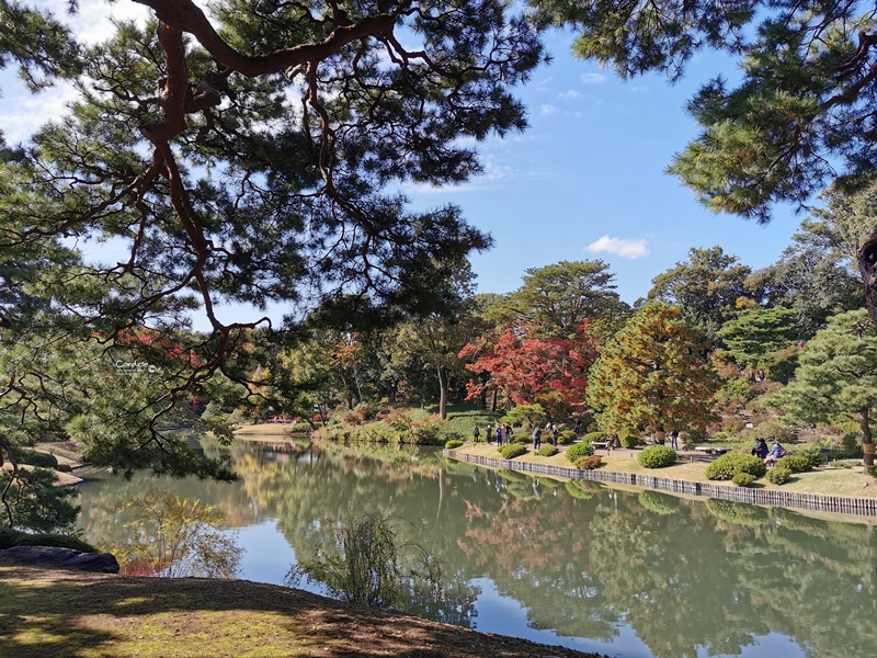 六義園｜超美東京名園!東京賞楓銀杏櫻花季節必訪!