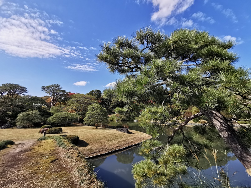 六義園｜超美東京名園!東京賞楓銀杏櫻花季節必訪!