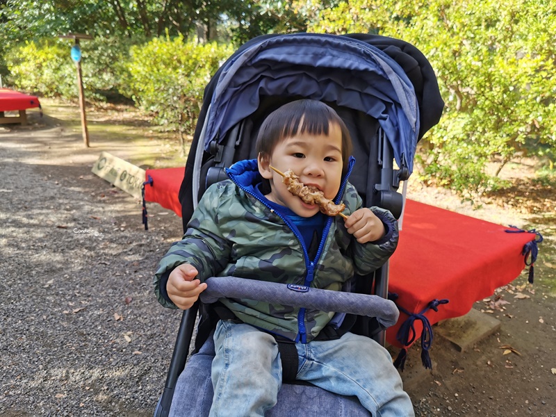 六義園｜超美東京名園!東京賞楓銀杏櫻花季節必訪!