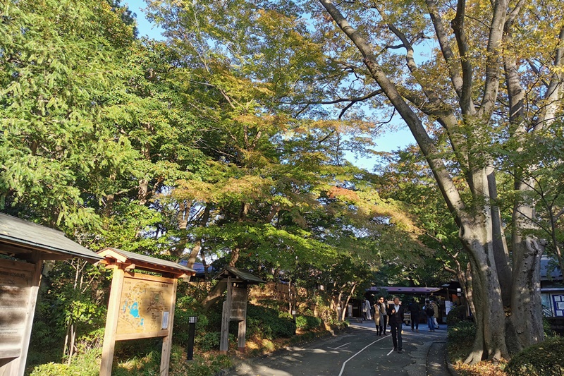 小石川後樂園｜超美東京楓葉景點推薦!東京賞楓必去!中國風日式庭園!