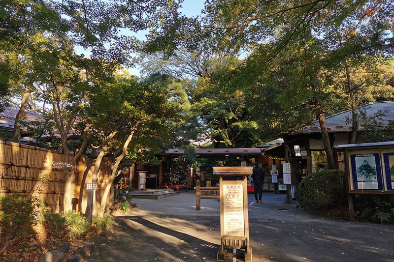 小石川後樂園｜超美東京楓葉景點推薦!東京賞楓必去!中國風日式庭園!