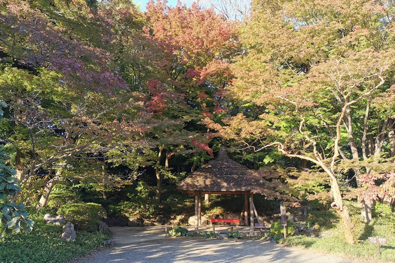 小石川後樂園｜超美東京楓葉景點推薦!東京賞楓必去!中國風日式庭園!