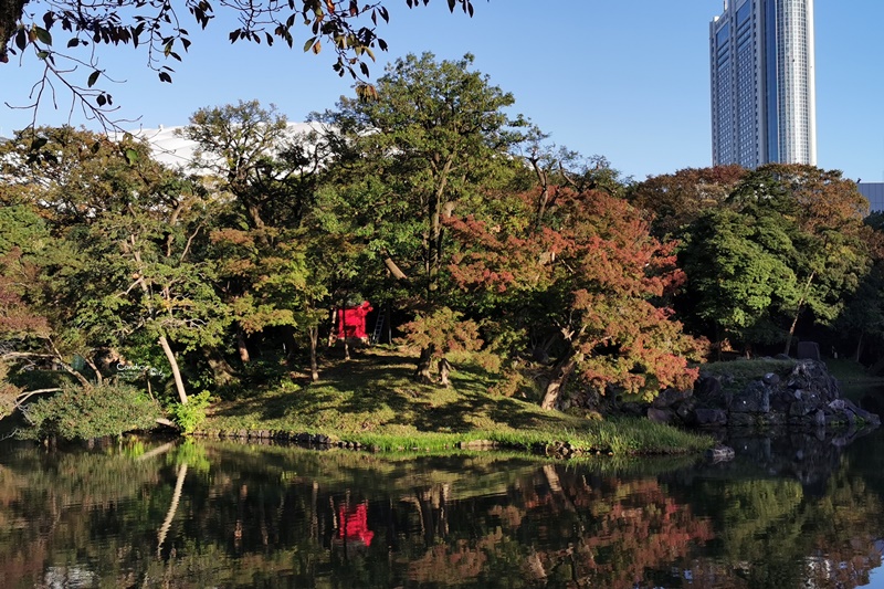 小石川後樂園｜超美東京楓葉景點推薦!東京賞楓必去!中國風日式庭園!