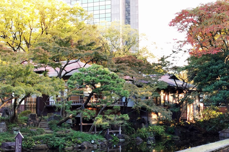 小石川後樂園｜超美東京楓葉景點推薦!東京賞楓必去!中國風日式庭園!