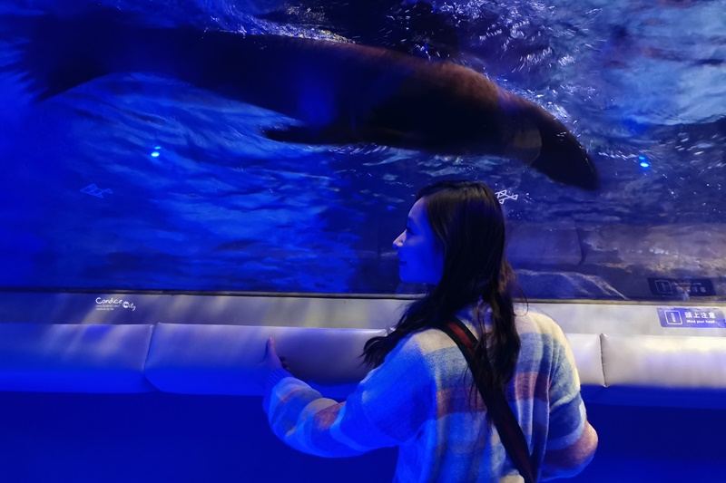 墨田水族館｜海龜水母寶寶必看!悠閒水族館東京水族館必訪!