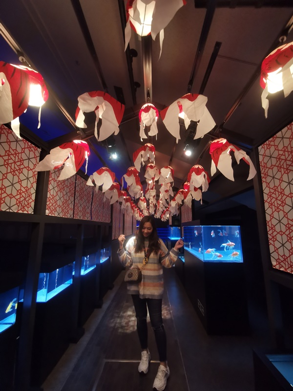 墨田水族館｜海龜水母寶寶必看!悠閒水族館東京水族館必訪!