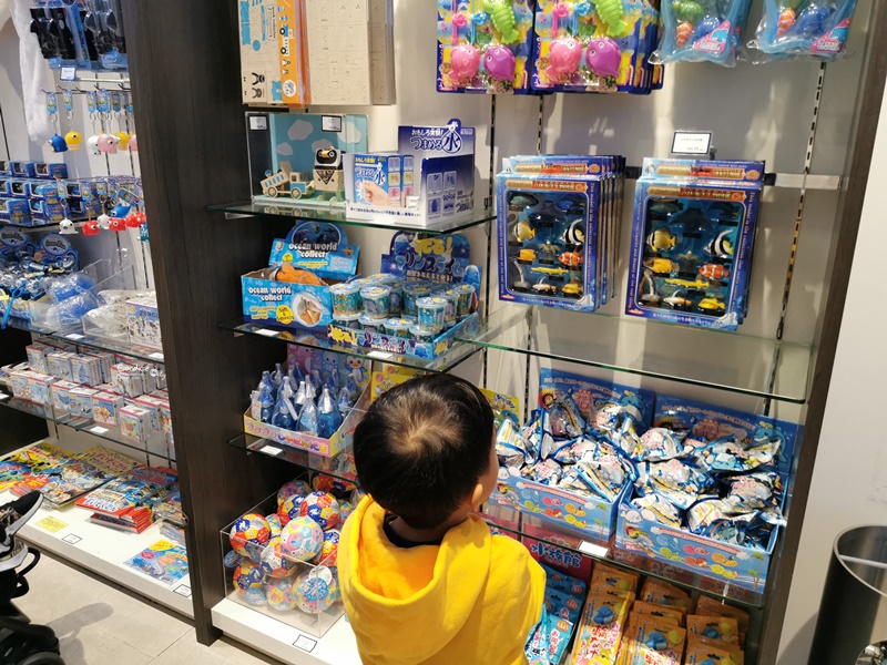 墨田水族館｜海龜水母寶寶必看!悠閒水族館東京水族館必訪!