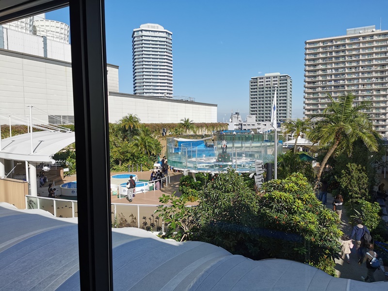 陽光水族館｜池袋水族館!池袋太陽城頂樓的水族館!還有室外企鵝池,動物區!