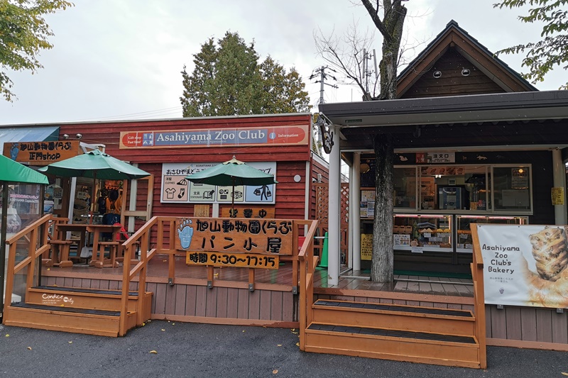 旭山動物園｜超炫企鵝隧道,北極熊超可愛!超推薦北海道旭川景點!