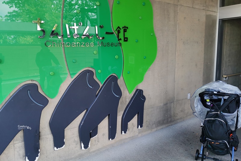 旭山動物園｜超炫企鵝隧道,北極熊超可愛!超推薦北海道旭川景點!