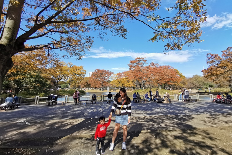 代代木公園｜東京賞楓景點!東京野餐NO1景點!