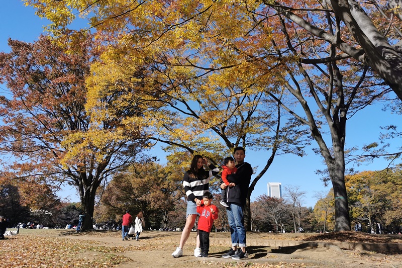 代代木公園｜東京賞楓景點!東京野餐NO1景點!