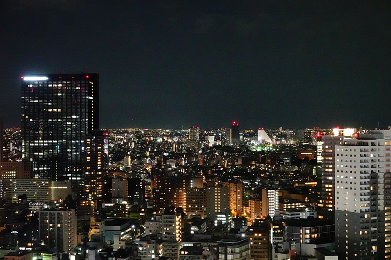 格拉斯麗新宿酒店｜新宿哥吉拉飯店,view超好服務超優的新宿住宿推薦!