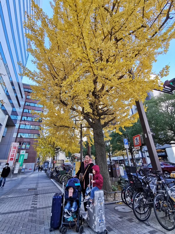 名古屋機場交通｜超詳盡名古屋中部機場交通攻略!μ-SKY 28分鐘到名古屋車站!