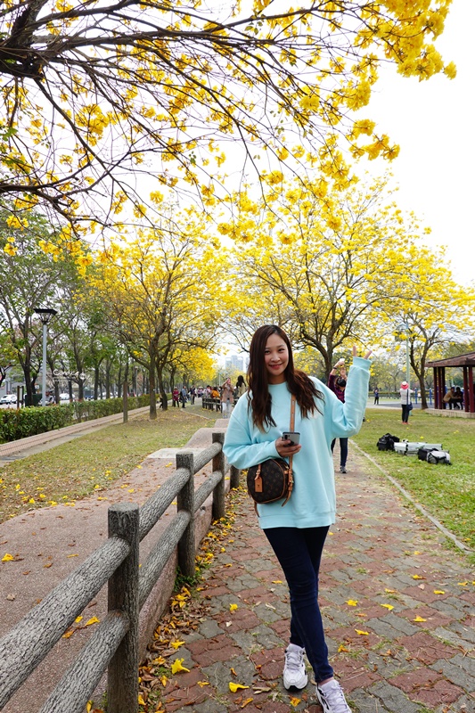 廍子公園｜台中黃金風鈴木花,超美金黃公園!風鈴花正盛,台中景點!