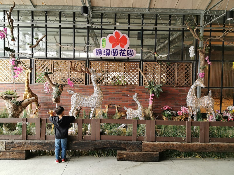 金車礁溪蘭花園｜可以餵魚,有遊戲區,可拍網美照,可買蘭花吃蝦子!