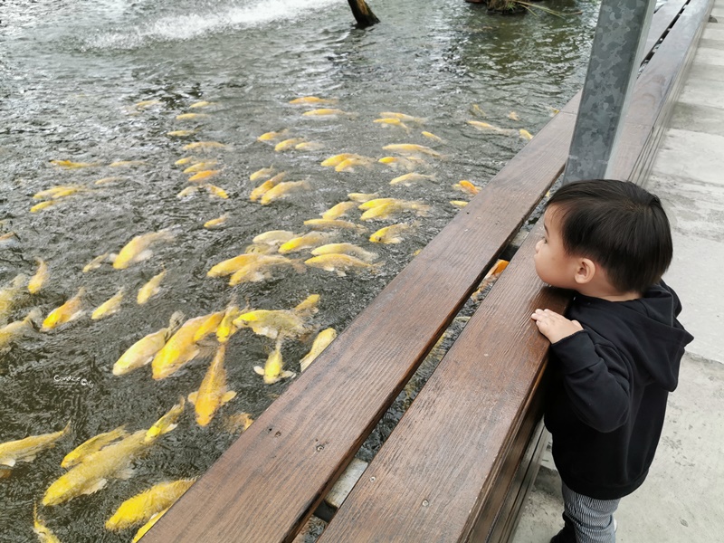 金車礁溪蘭花園｜可以餵魚,有遊戲區,可拍網美照,可買蘭花吃蝦子!