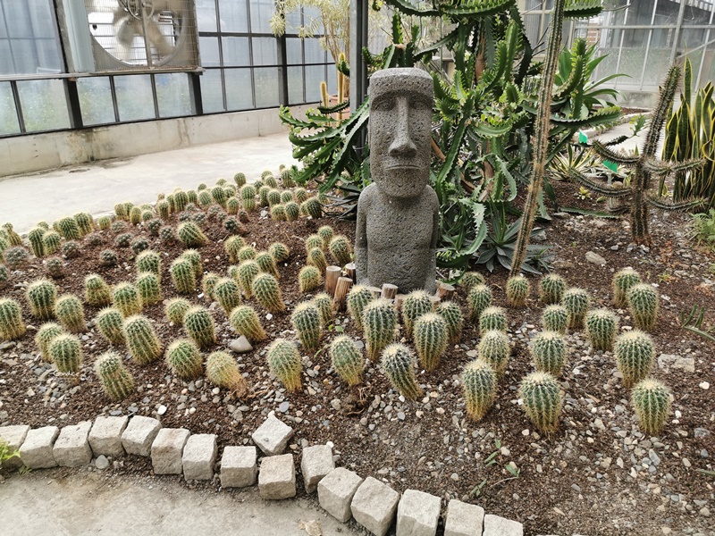 金車礁溪蘭花園｜可以餵魚,有遊戲區,可拍網美照,可買蘭花吃蝦子!