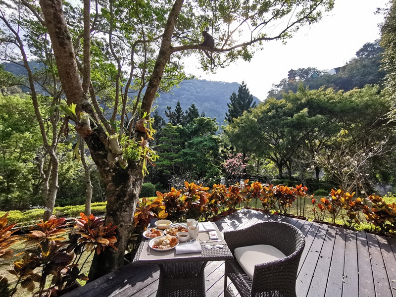 太魯閣晶英酒店｜峽谷泳池+泡湯,梅園中餐廳晚餐超棒!人生必住一次!