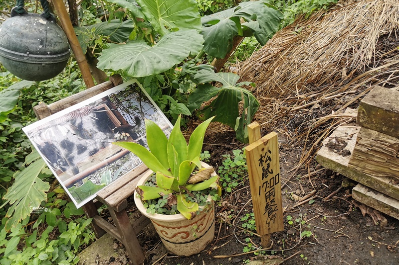 山度空間｜花蓮泡泡球超夢幻,IG爆紅打卡花蓮景點推薦!必去!