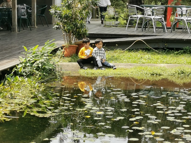 松園別館｜台灣歷史建築百選!清幽,眺望遠方大海的花蓮景點!