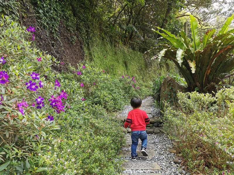 19號咖啡館｜坐落山林中的白色木屋咖啡廳,陽明山餐廳推薦!