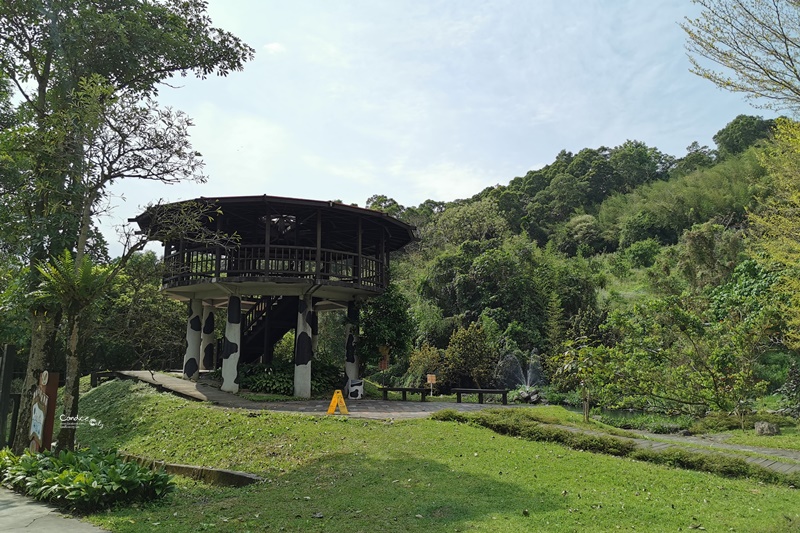 瑞穗牧場｜花蓮必去景點!路過一定喝超好喝瑞穗鮮奶,濃郁冰淇淋!