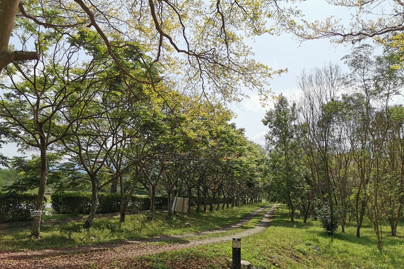 瑞穗牧場｜花蓮必去景點!路過一定喝超好喝瑞穗鮮奶,濃郁冰淇淋!