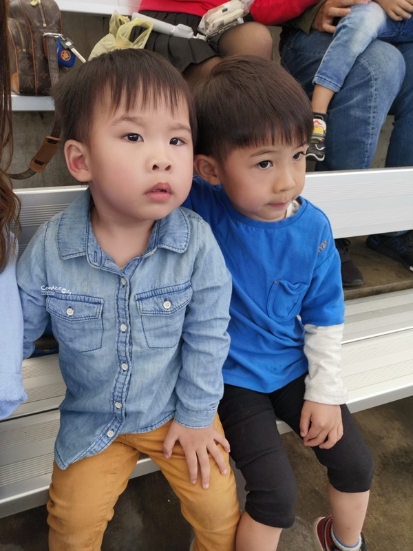 花蓮遠雄海洋公園｜超好玩一日遊!怎麼玩攻略,表演時程表分享.