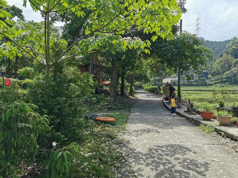 一畝田露營區｜超享受南非狩獵帳免搭帳!有沙坑漂漂河的苗栗親子露營區!