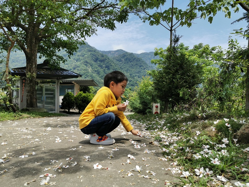 一畝田露營區｜超享受南非狩獵帳免搭帳!有沙坑漂漂河的苗栗親子露營區!