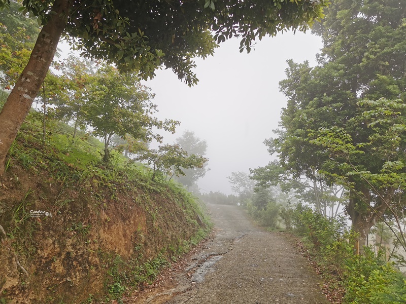 新竹愛上天湖露營區｜入住南非狩獵帳!可戲水,划船的新竹親子露營區!