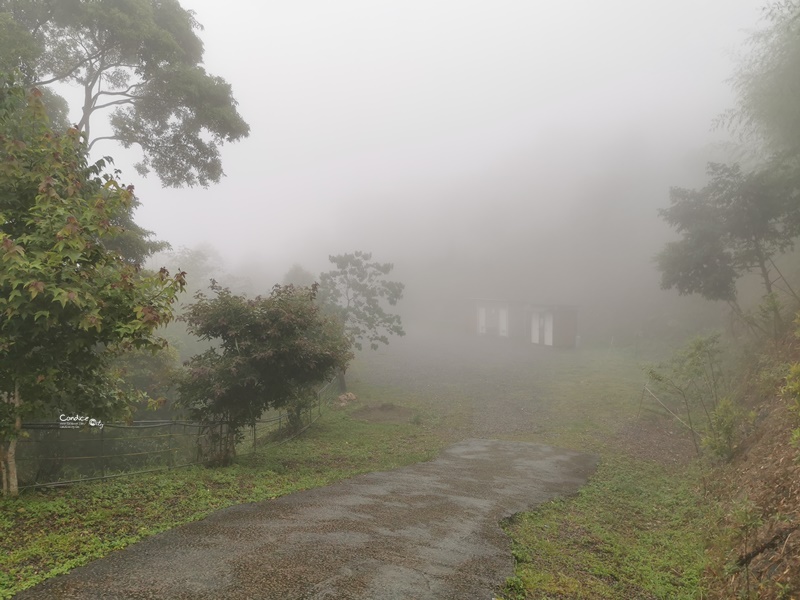 新竹愛上天湖露營區｜入住南非狩獵帳!可戲水,划船的新竹親子露營區!