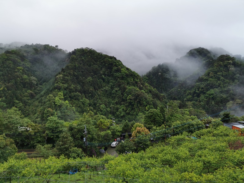 新竹愛上天湖露營區｜入住南非狩獵帳!可戲水,划船的新竹親子露營區!