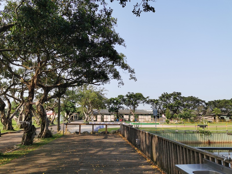 水樂活親子農場｜開新帳!大草原的桃園親子露營區!玩水,溜滑梯,釣魚超好玩!