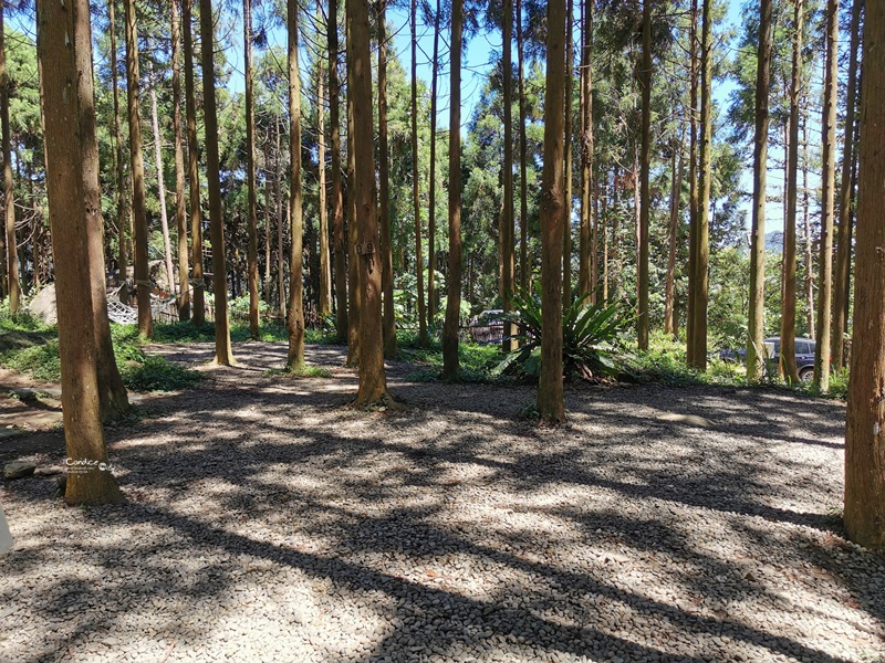 杉彩露營區｜台灣少有森林系露營區,適合夏天露營的超美苗栗露營區!第10露!