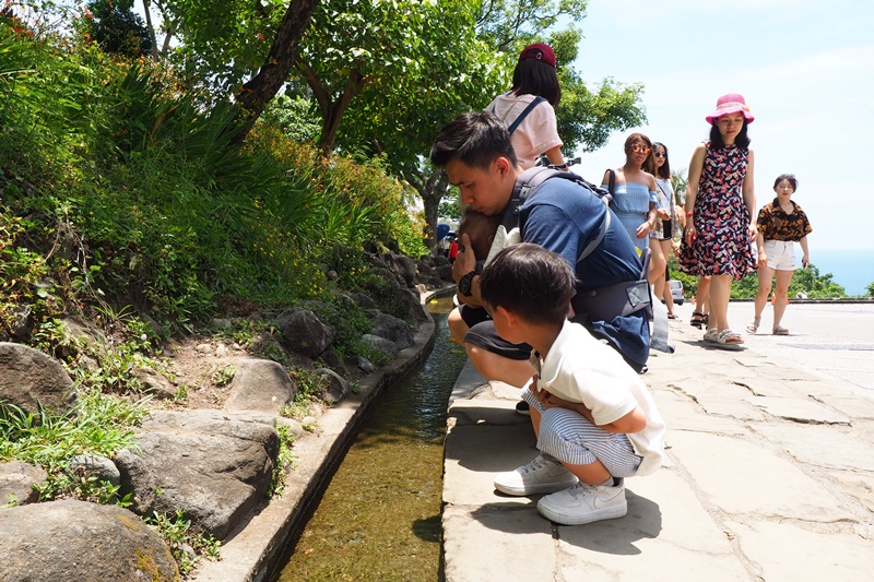 水往上流遊憩區｜原理是什麼大解密!台東景點水往上流奇觀很神奇啊!