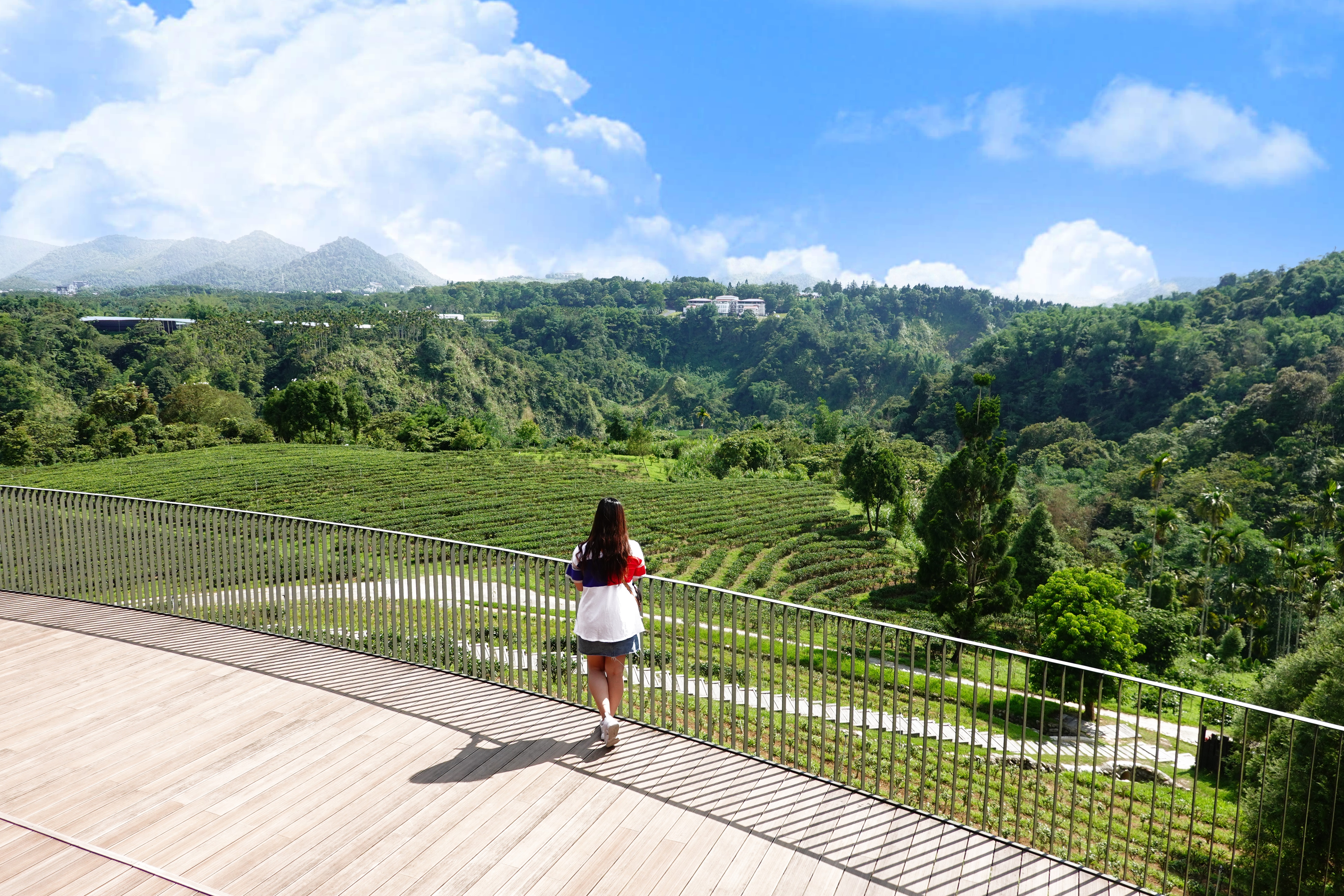 鹿篙咖啡莊園｜坐擁高山茶園美景的南投咖啡廳!漂亮山景喝咖啡!