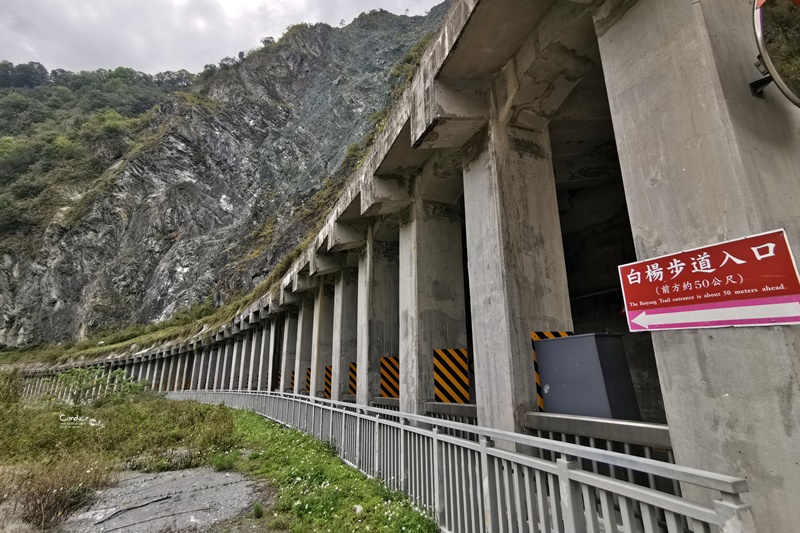 太魯閣景點｜太魯閣怎麼玩?8個太魯閣必訪景點,白楊步道/燕子口/九曲洞