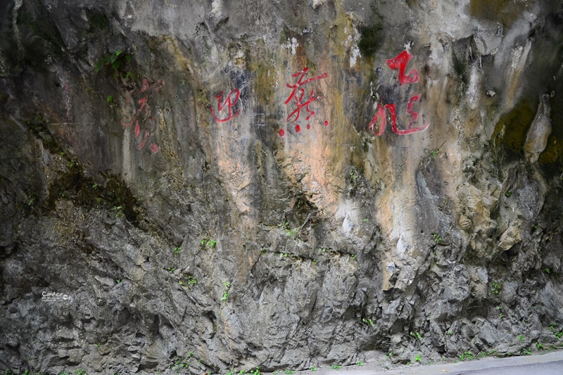 太魯閣景點｜太魯閣怎麼玩?8個太魯閣必訪景點,白楊步道/燕子口/九曲洞