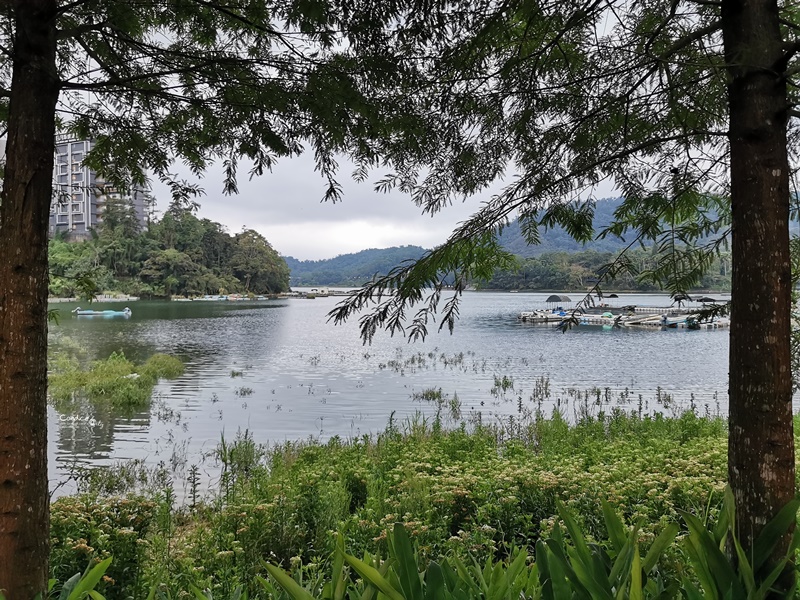 畢瓦客露營區｜面日月潭露營區NO1!看日月潭露營超美!