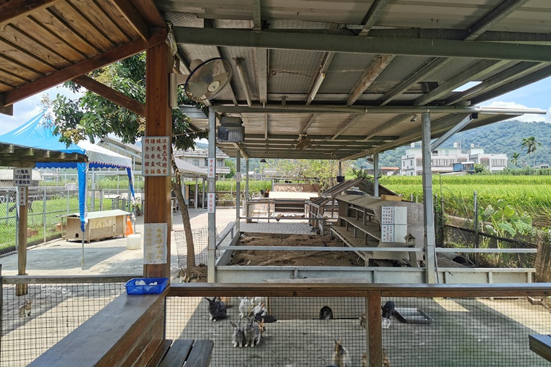 棗莊古藝庭園膳坊｜根本苗栗景點的棗莊,餐好吃還可餵兔/玩沙/拍網美照!