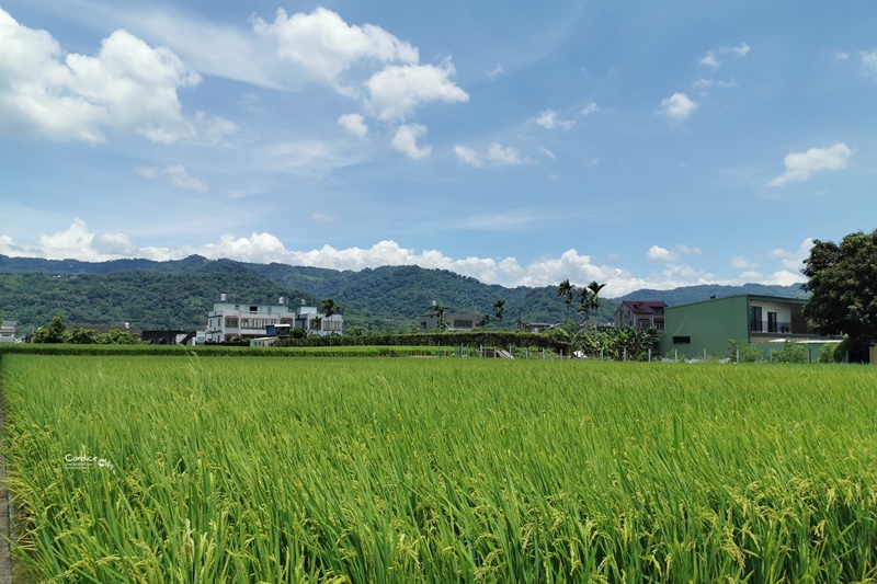 棗莊古藝庭園膳坊｜根本苗栗景點的棗莊,餐好吃還可餵兔/玩沙/拍網美照!