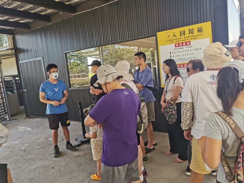 鹿境梅花鹿生態園區｜墾丁版奈良梅花鹿園區!買線上門票較便宜!