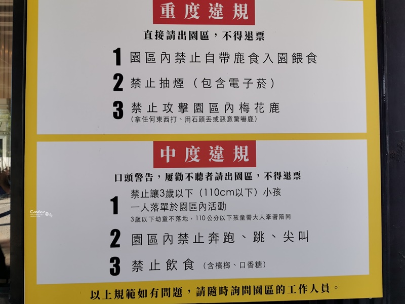 鹿境梅花鹿生態園區｜墾丁版奈良梅花鹿園區!買線上門票較便宜!