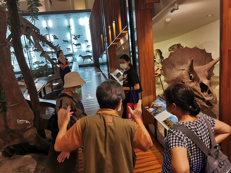 臺灣博物館土銀展示館｜巨型恐龍出現台北車站!勸業銀行舊廈,台北景點!