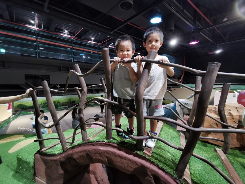 台北科教館大樹屋體驗展｜7大亮點攻略!毛蟲小火車/長頸鹿跳跳床/斑馬咖啡杯